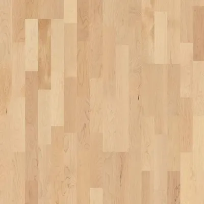 Image of: Ahorn canad. Nature