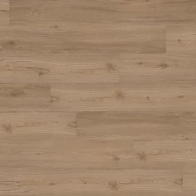 Image of: JOKA Vinyl/Designboeden 555 Klebe - Spring Oak EIR