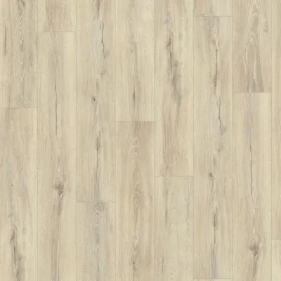 Image of: Oak palewhite V4 1-Stab