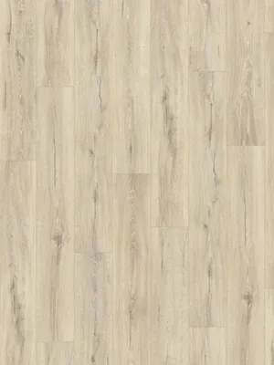 Image of: Oak palewhite V4 1-Stab