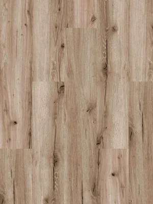 Image of: DESIGN 555