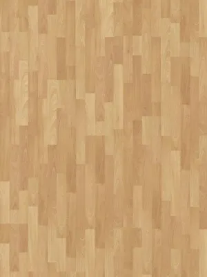 Image of: Beech urban 3-Stab