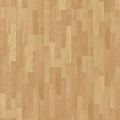 Image of: Beech urban 3-Stab