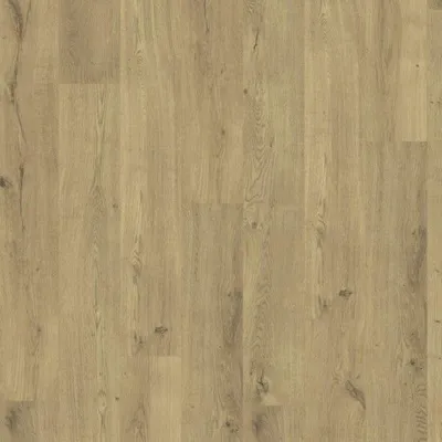 Image of: Oak purelight V4 1-Stab