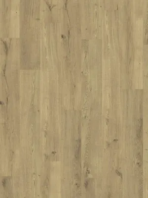 Image of: Oak purelight V4 1-Stab