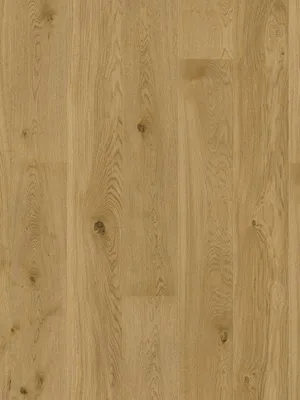 Image of: Eiche amber geb. V2 Nature