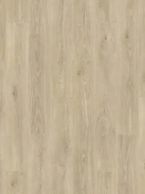 Image of: Oak spring V4 1-Stab