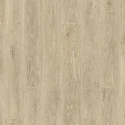 Image of: Oak spring V4 1-Stab