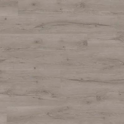 Image of: JOKA Vinyl/Designboeden 555 Klebe - Rustic Grey Oak EIR