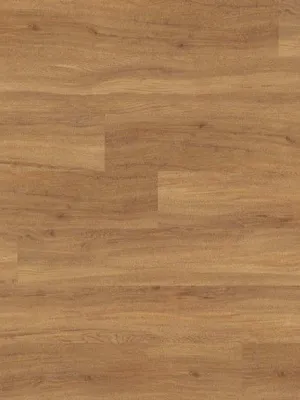 Image of: Oak urban 3-Stab