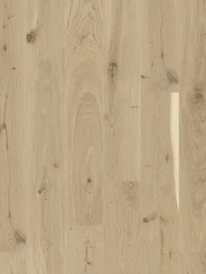 Image of: Eiche nova geb. V2 Villa