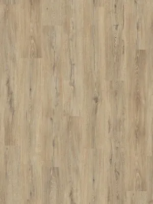 Image of: Oak palecreme 1-Stab