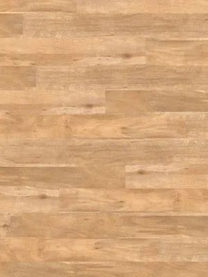 Image of: Oak tradition 1-Stab