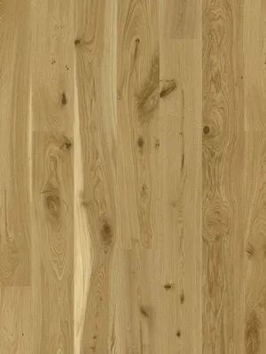 Image of: Eiche V2 Villa