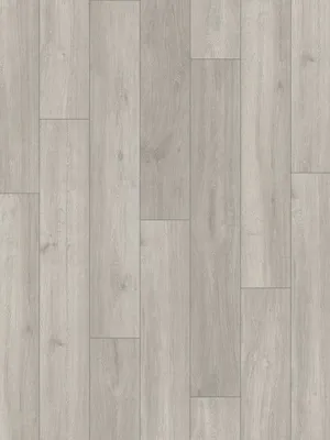 Image of: Oak greyline V4 1-Stab